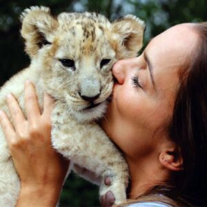 The Special Cheetah Experience in Somerset West