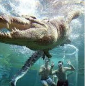 Le Bonheur Crocodile Farm