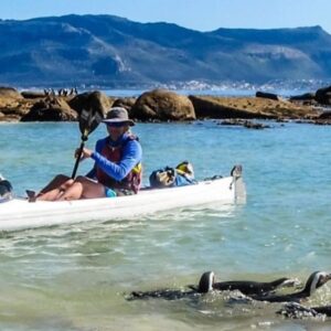 Kayaking with the Penguins
