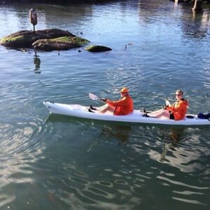 Kayaking with Penguins