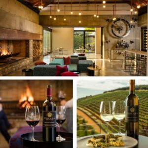 Tokara Olive and Wine Tasting Experience