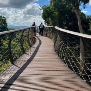 Kirstenbosch Gardens