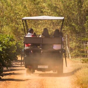 Villiera Wines Game Drive